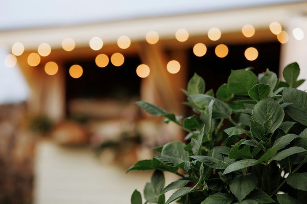 Transformez votre intérieur avec des lumières led conviviales