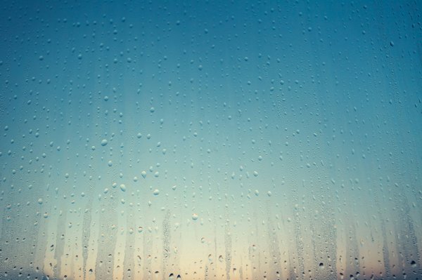 1/4 de litre en ml : découvrez la conversion facile et rapide