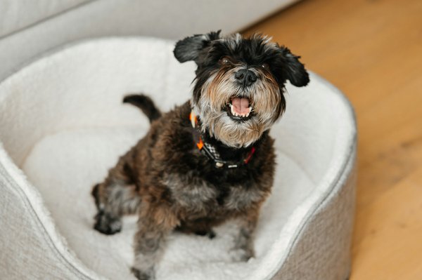 Top 10 miniatures welly pour les passionnés de voitures de collection